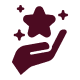 Hand holding star with sparkles icon.